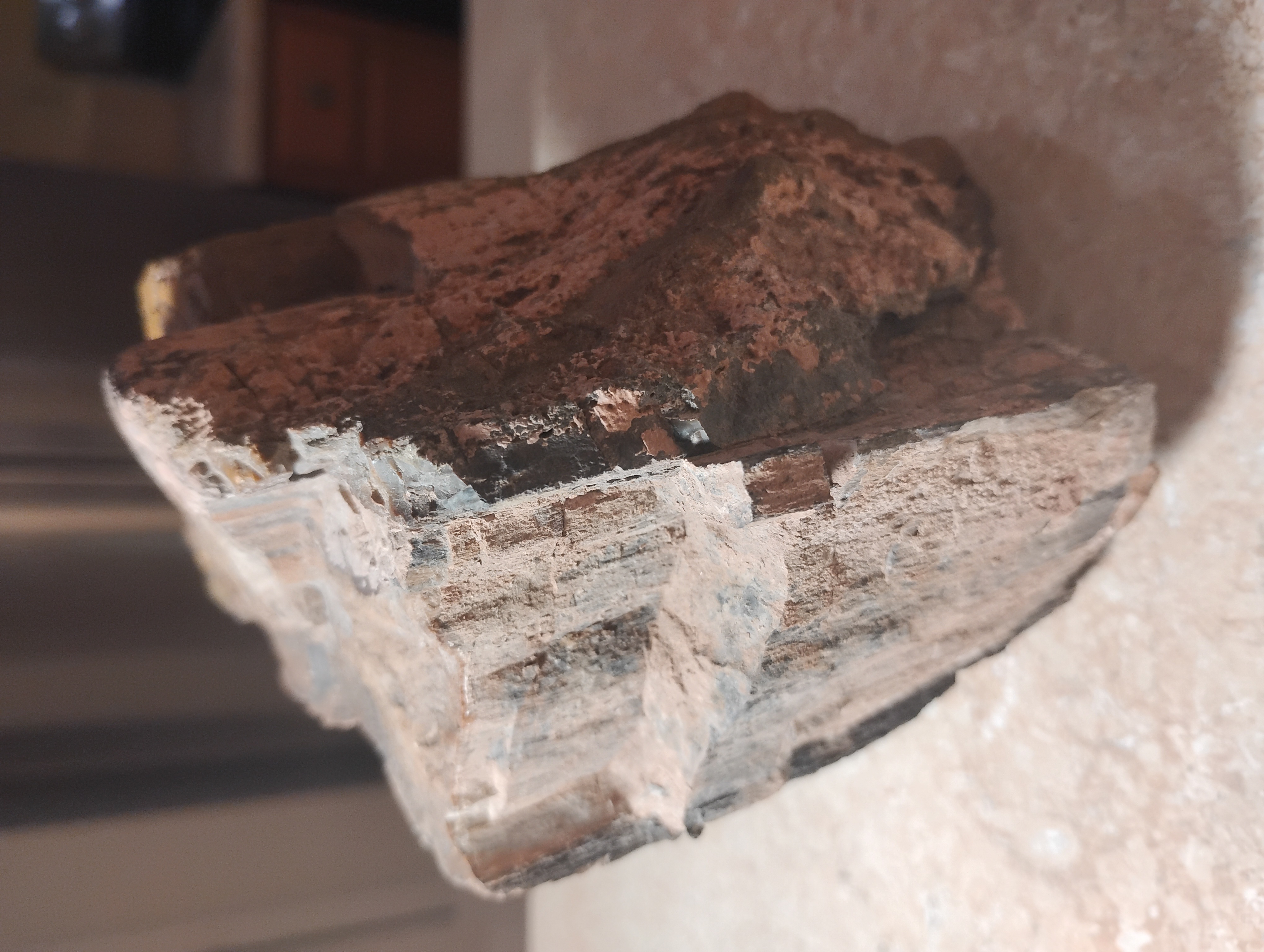 Arizona Petrified Wood 4 lbs image 9