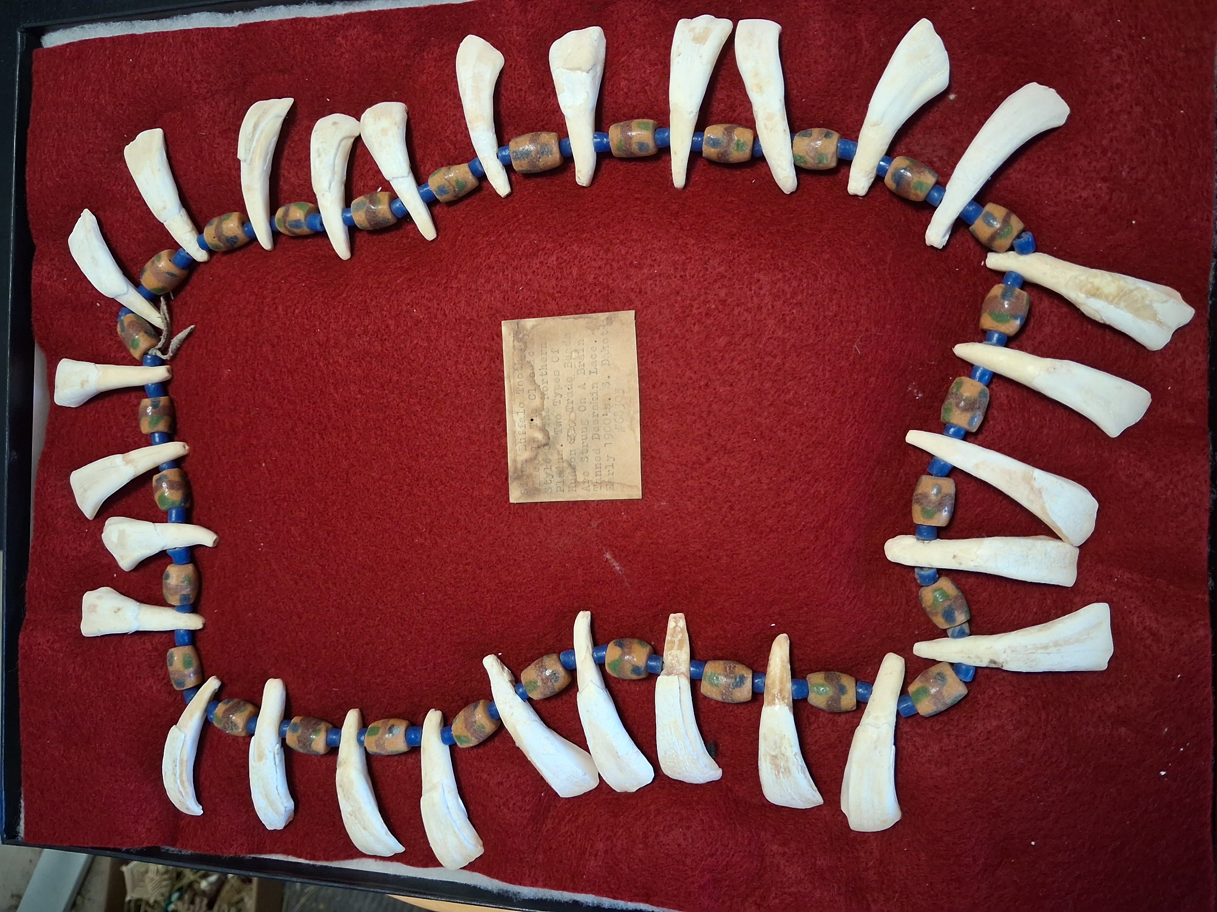 Antique Native Sioux Buffalo Tooth and Trade Bead Ceremonial Necklace